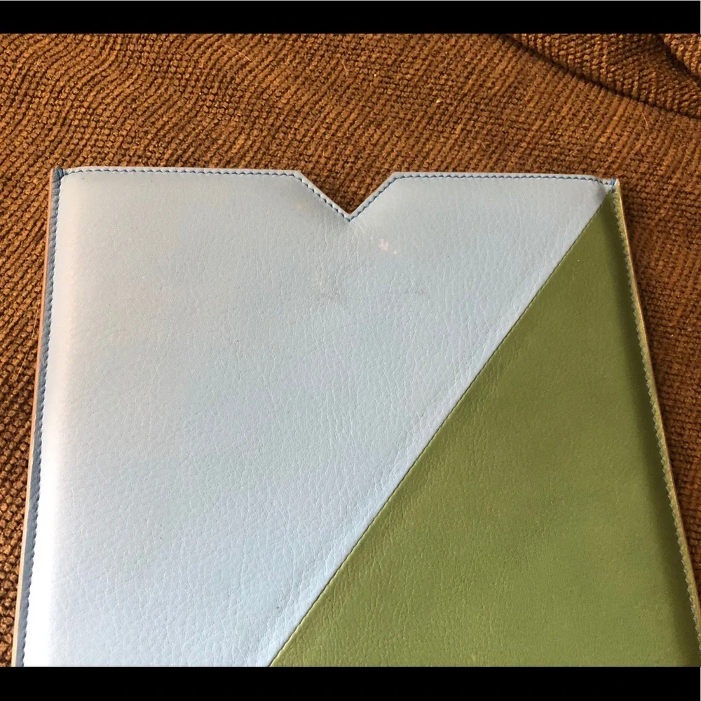 Auth Proenza Schouler Blue Green Leather Case EUC